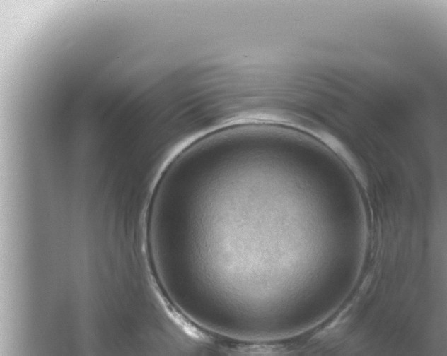 X0000061720862200512091958