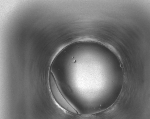 X0000061720863200512091959