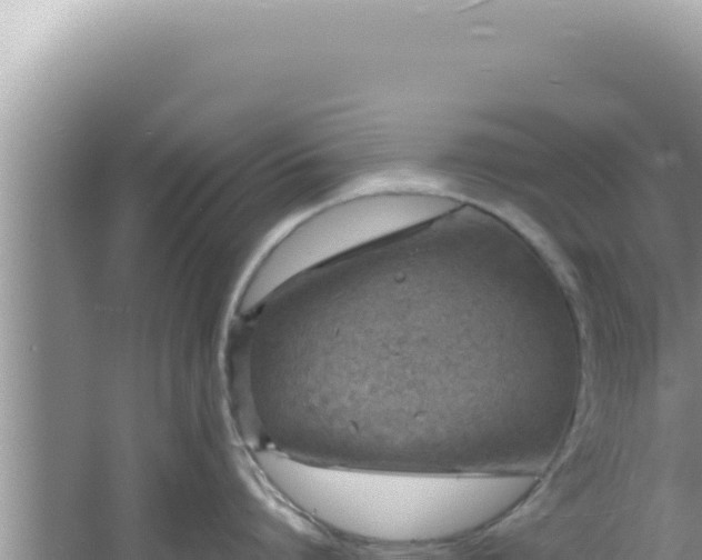 X0000061720864200512091959