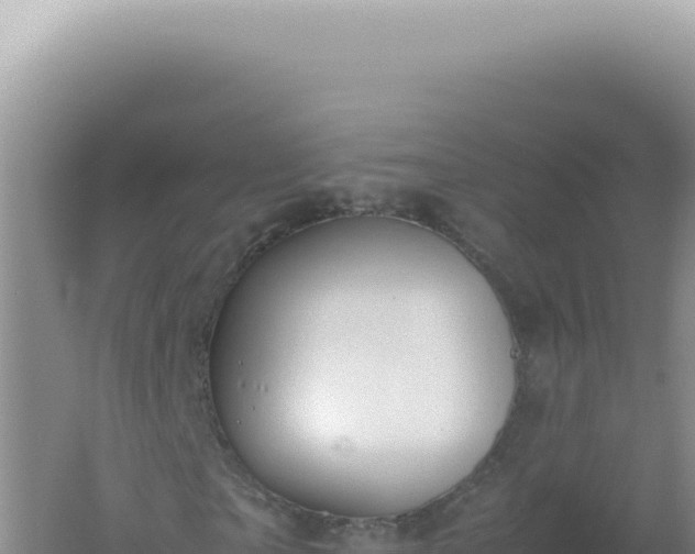 X0000061720865200512091958