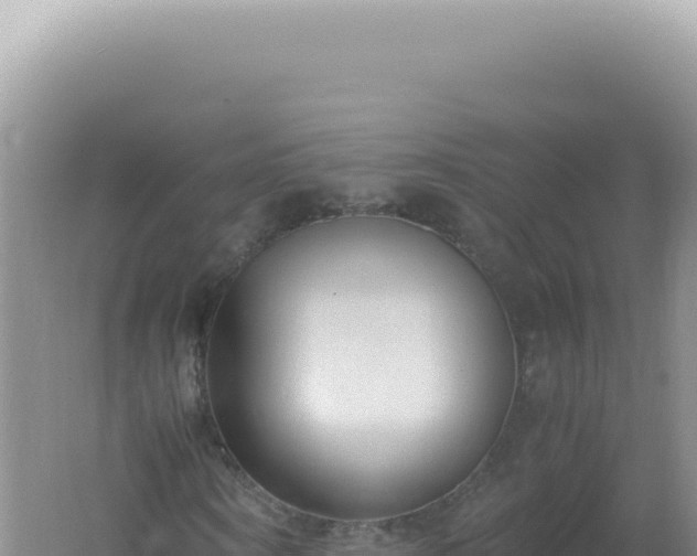 X0000061720866200512091958