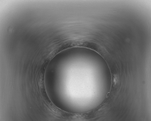 X0000061720867200512091958