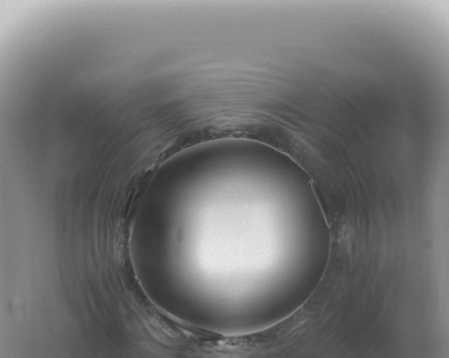 X0000061720868200512091958