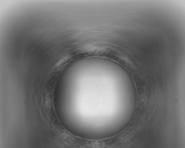 X0000061720869200512091958