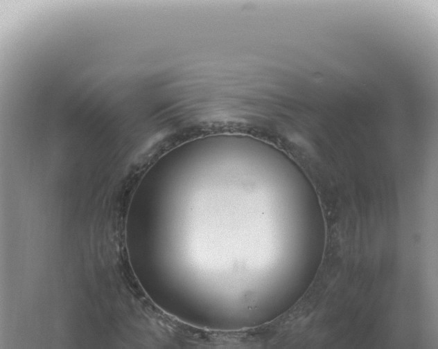 X0000061720870200512091958