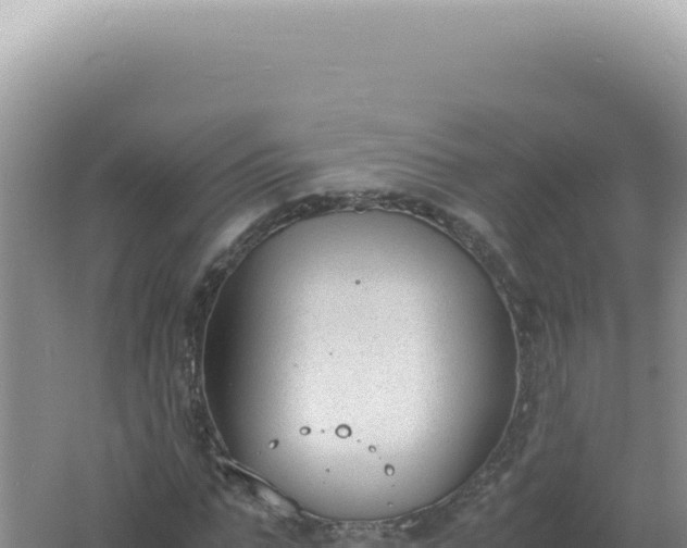 X0000061720871200512091958