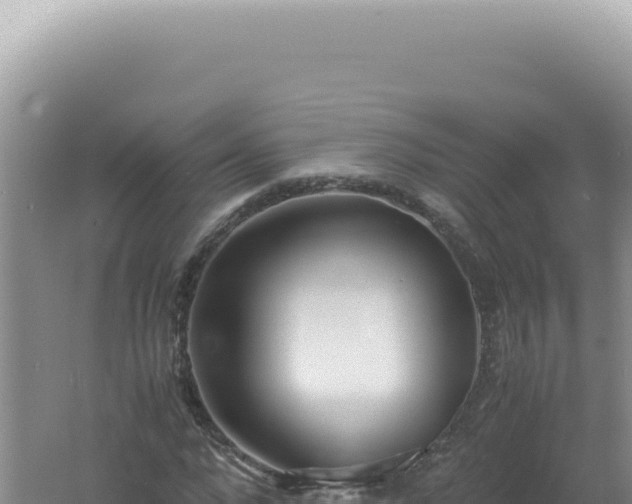 X0000061720872200512091958