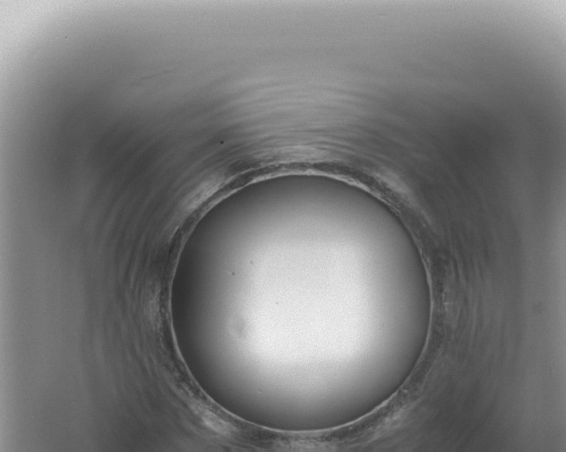 X0000061720873200512091958