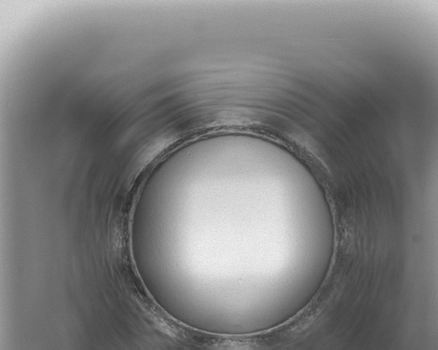 X0000061720874200512091958