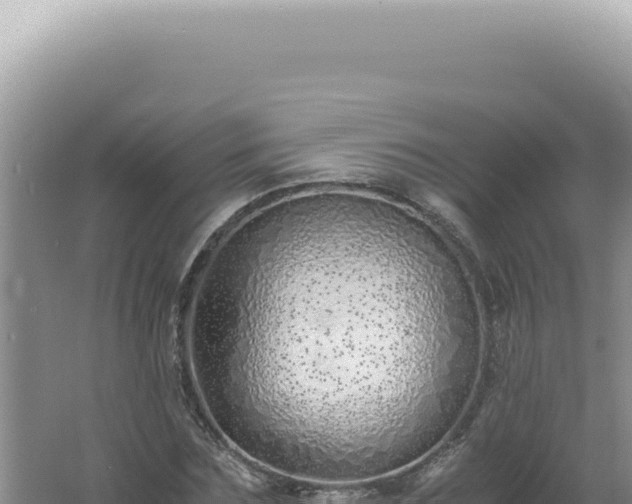 X0000061720875200512091958