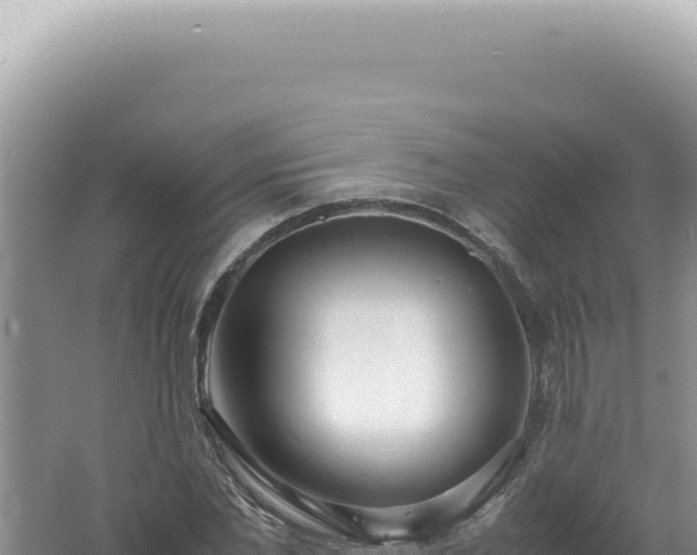 X0000061720877200512091957