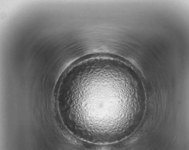 X0000061720879200512091957