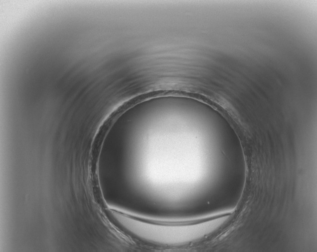 X0000061720880200512091957