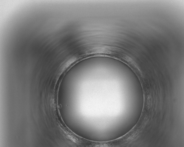 X0000061720882200512091957