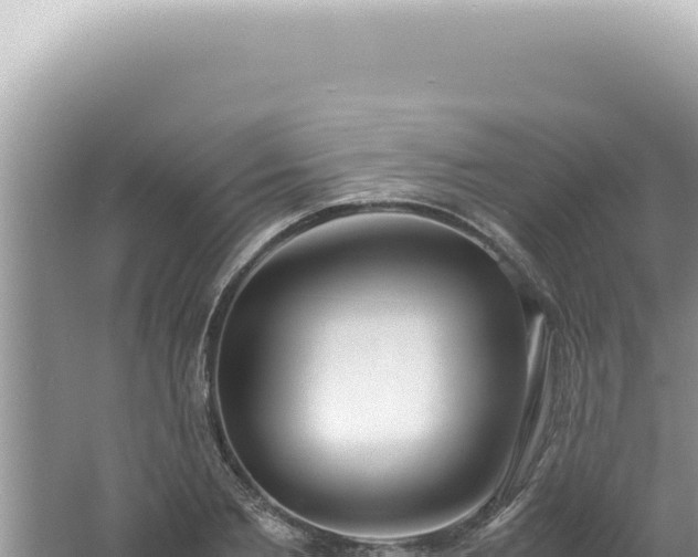 X0000061720885200512091957