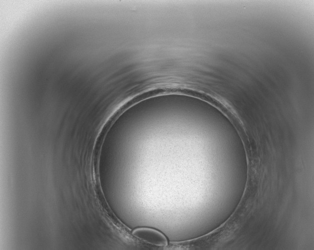 X0000061720887200512091957