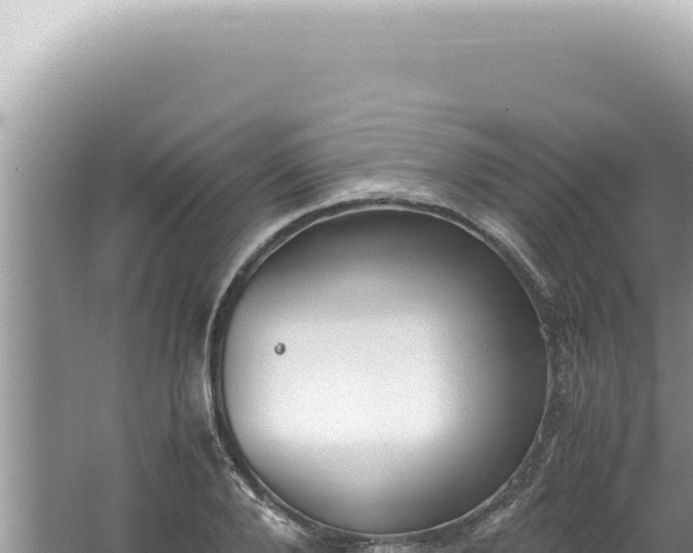 X0000061720888200512091957