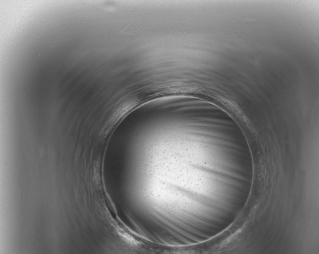 X0000061720889200512091957