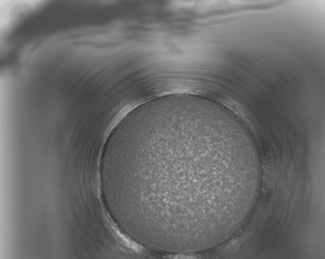 X0000061720890200512091957