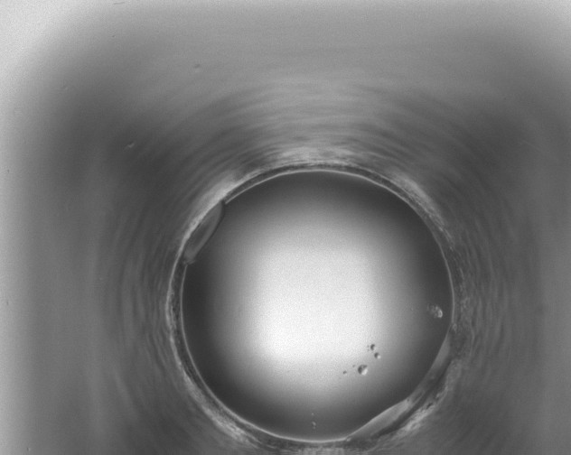 X0000061720893200512091957