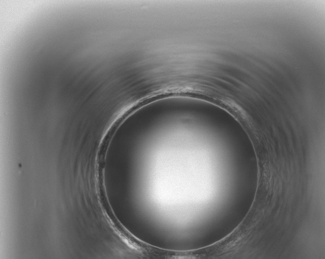 X0000061720894200512091957