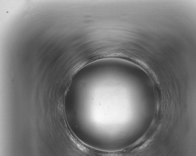 X0000061720897200512091957