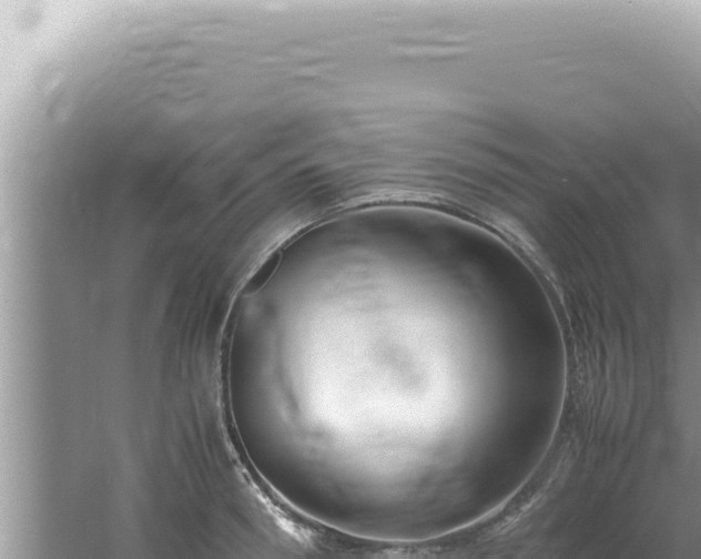 X0000061720898200512091957