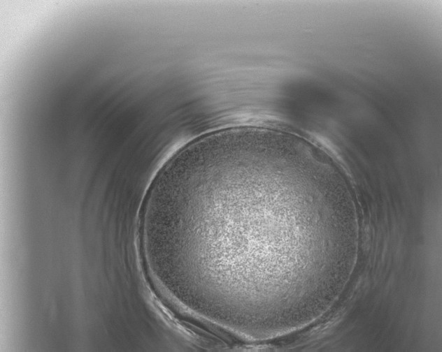 X0000061720899200512091957