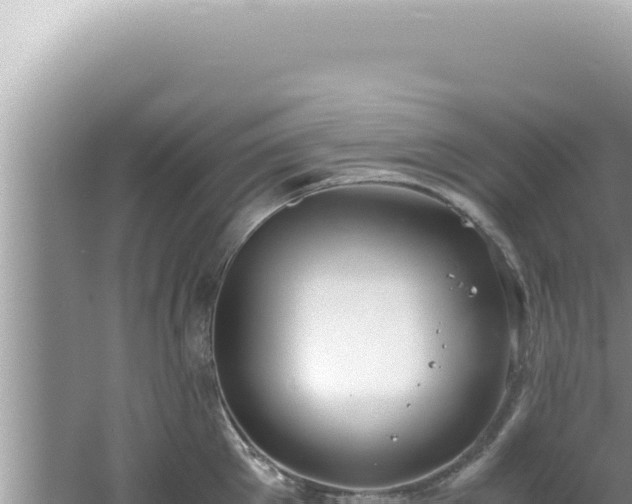 X0000061720905200512091957