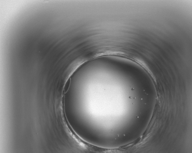 X0000061720906200512091957