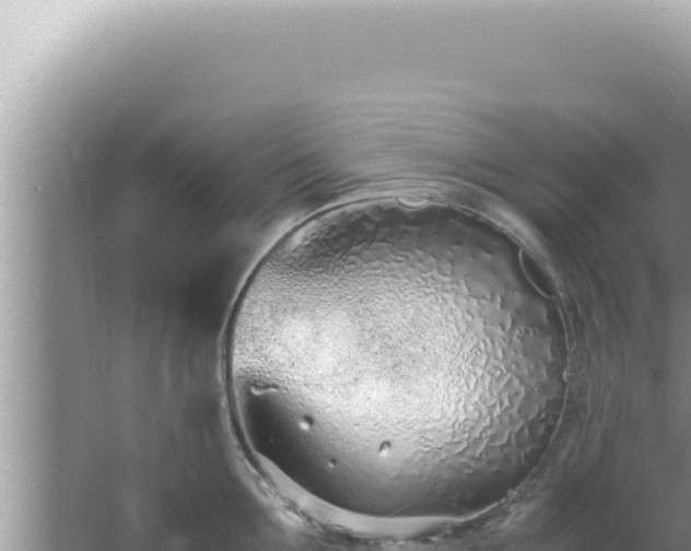 X0000061720907200512091957