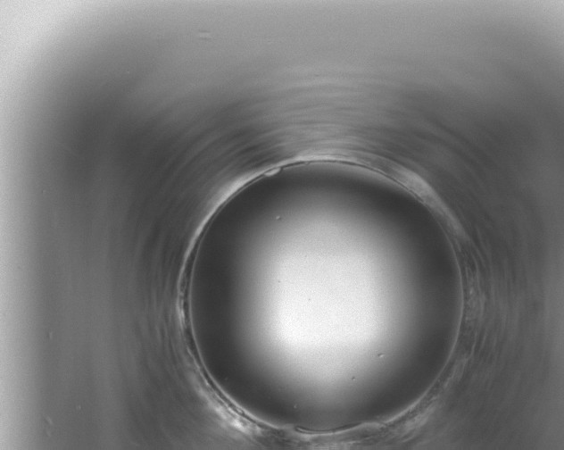 X0000061720908200512091957