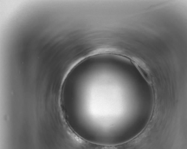 X0000061720912200512091957