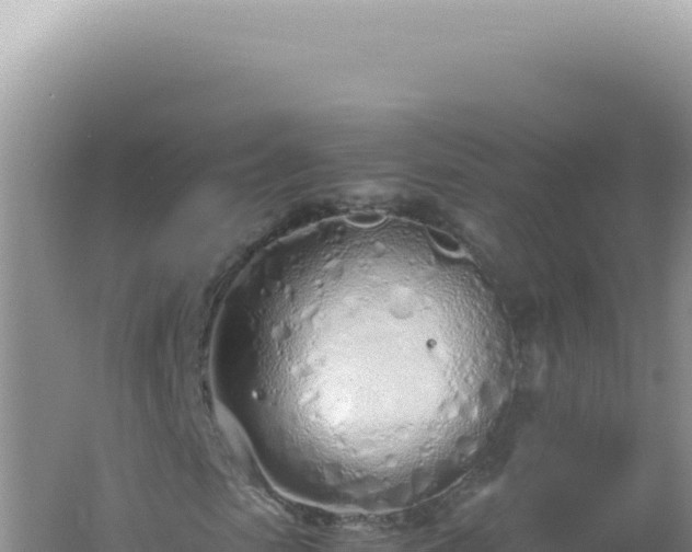 X0000061720913200512091956