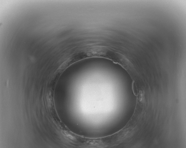 X0000061720915200512091956