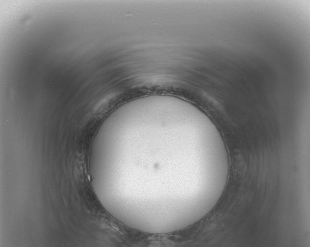 X0000061720918200512091956