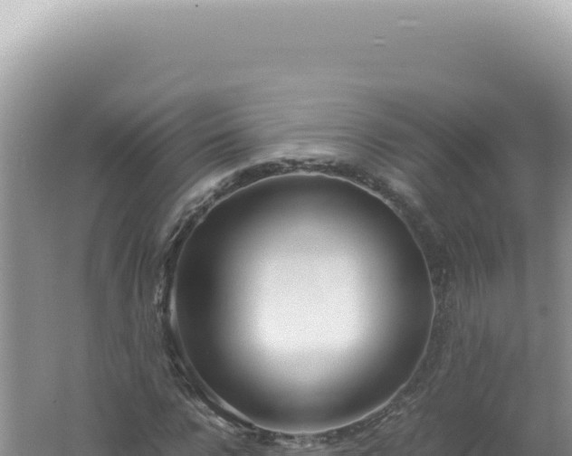 X0000061720920200512091956