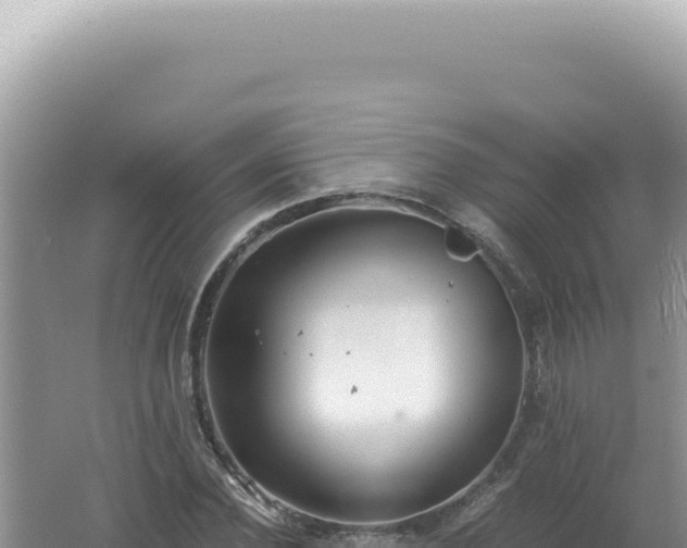 X0000061720924200512091956