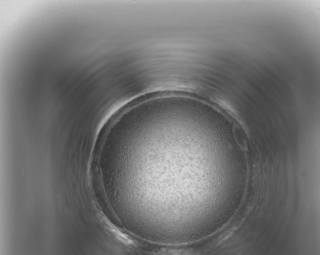 X0000061720928200512091956