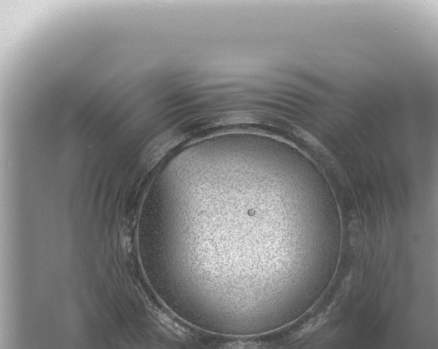 X0000061720929200512091956