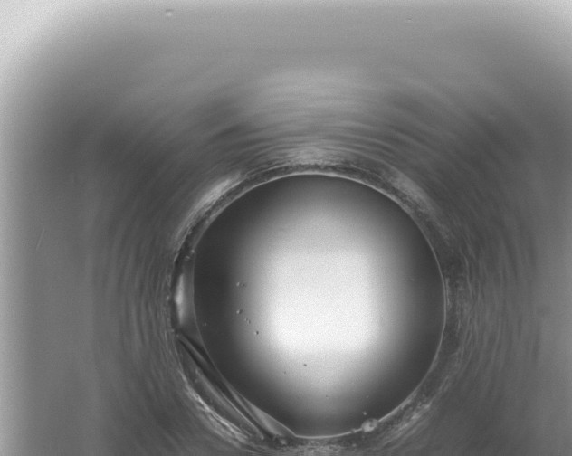 X0000061720930200512091956