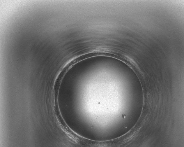 X0000061720931200512091956