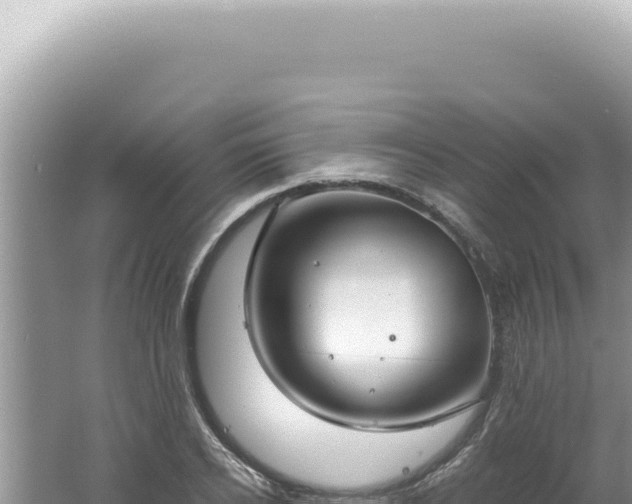 X0000061720934200512091956