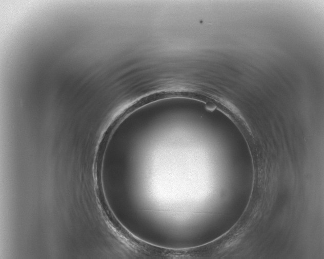 X0000061720935200512091956