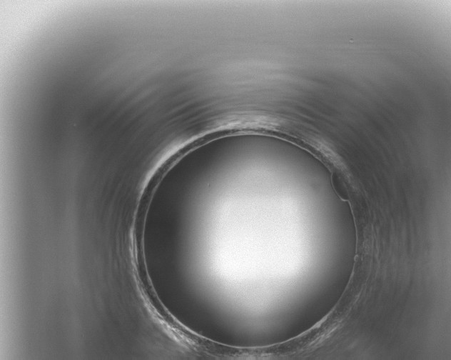 X0000061720936200512091956