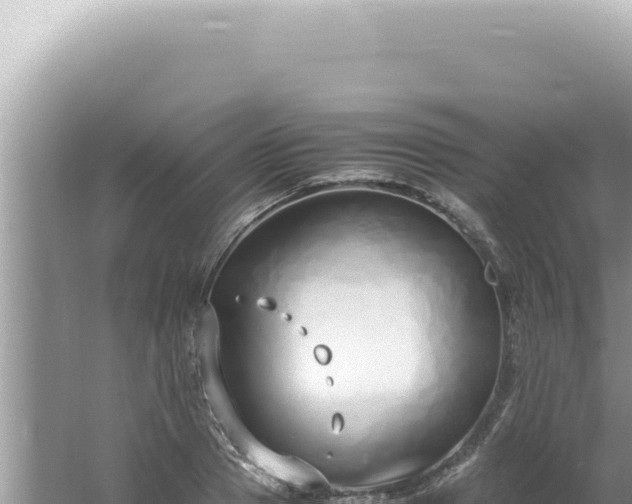 X0000061720937200512091956