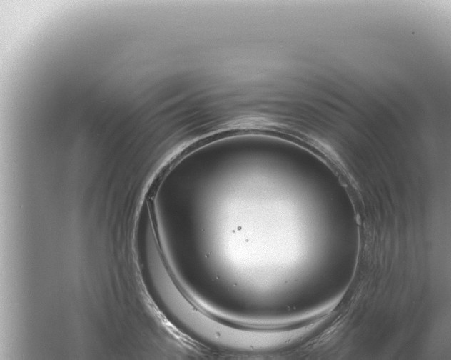 X0000061720939200512091957