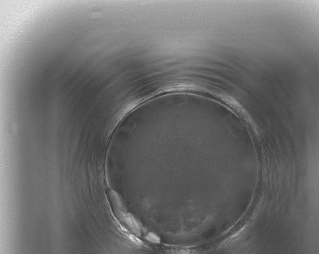 X0000061720945200512091957