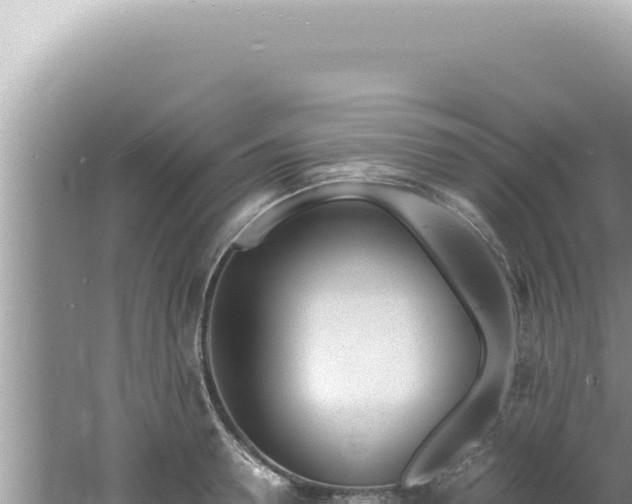 X0000061720946200512091957