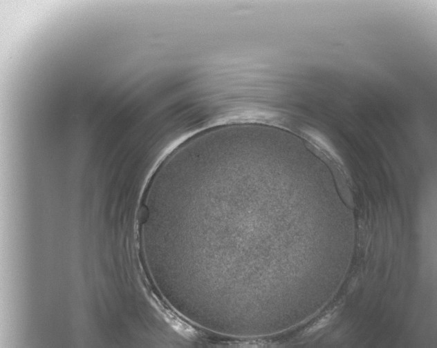 X0000061720948200512091957